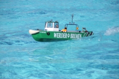 Werder5